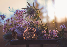 Load image into Gallery viewer, Starlight Fawn - Enamel Pin (day or night)