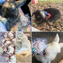 Load image into Gallery viewer, PRE-ORDER* Starlight Rabbit - Enamel Pin (day or night)