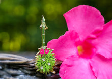 Load image into Gallery viewer, Tropical Tiki Witch Broom - Charity Pin
