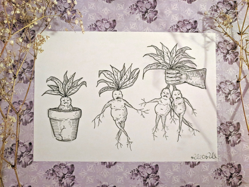 Mandrakes - 5x7 Print