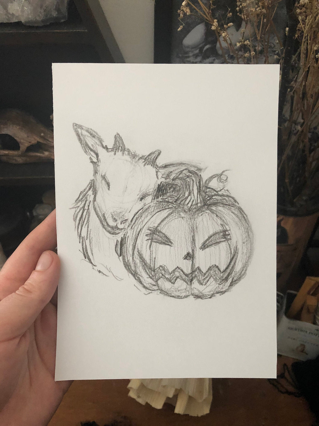 Baby Black Phillip - 5x7 Print