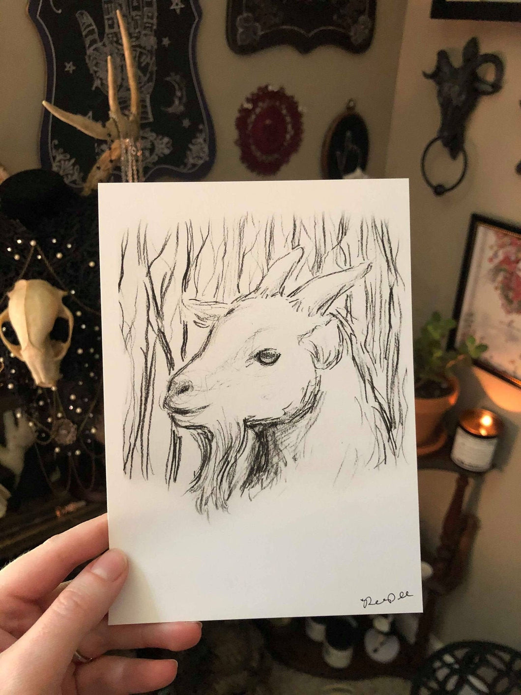 Into the Woods with Kid Phillip - 5x7 Print