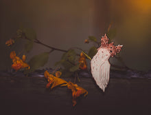 Load image into Gallery viewer, Mabon Owl - Enamel Pin
