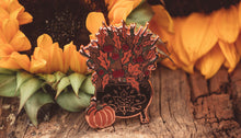 Load image into Gallery viewer, Mabon Cauldron - Enamel Pin
