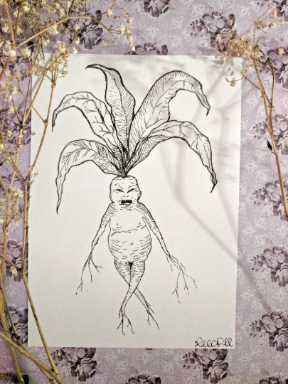 Mandrake - 5x7 Print
